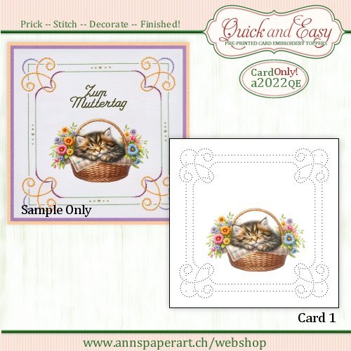 a2022 Quick and Easy Card ONLY (1) (Instructions not included)