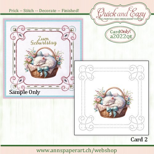 a2022 Quick and Easy Card ONLY (2) (Instructions not included)