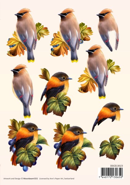 3D Sheet (A5) Ann's Paper Art Birds 3DCE13023 - Click Image to Close