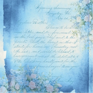 Paperpack - Blue Meadow - (Nur auf Vorbestellung)