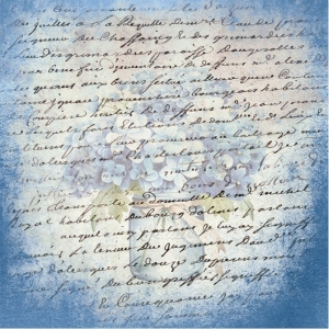 Paperpack - Blue Meadow - (Nur auf Vorbestellung)