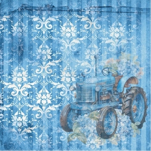 Paperpack - Blue Meadow - (Nur auf Vorbestellung)