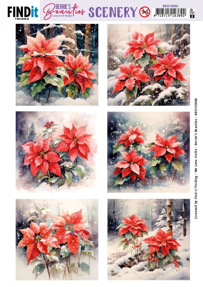 Scenery Pushout Berries Beauties - Poinsettia - Square