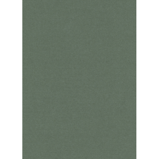 Linnen Karton - A4 - 41 Basil (Neue Farbe) (5x A4 Bogen)