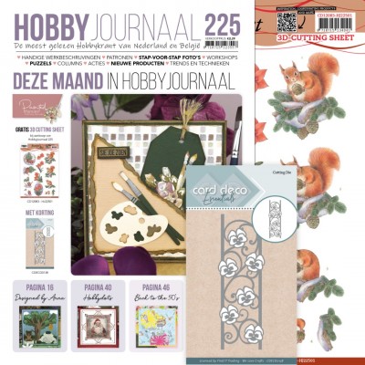Hobbyjournaal 225 SET - 3D Bogen + schablone