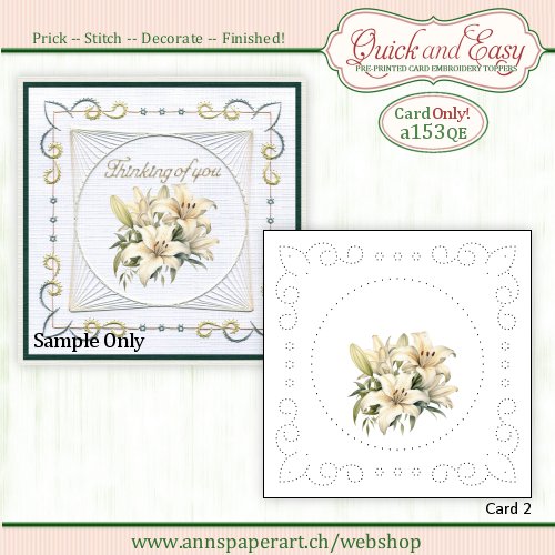 a153 Quick and Easy Card ONLY (2) (Instructions not included)