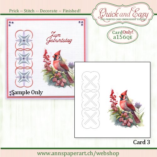 a156 Quick and Easy Card ONLY (3) (Instructions not included)