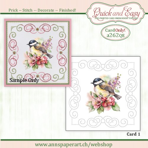 a262 Quick and Easy Card ONLY (1) (Instructions not included)