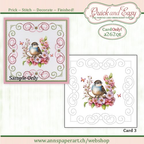 a262 Quick and Easy Card ONLY (3) (Instructions not included)