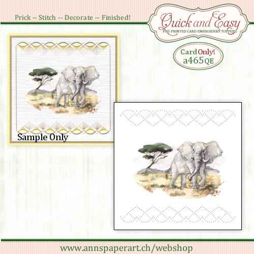 a465 Quick and Easy Card ONLY (2) (Instructions not included)